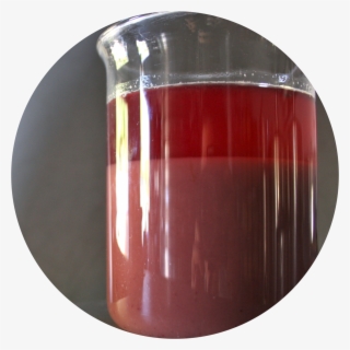 After The Must Extraction Process, The Must Is Decanted - Decantation #5615361