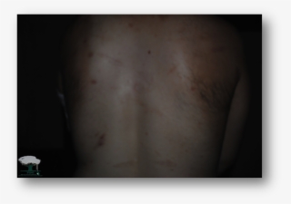 Image003 - Animal #5615364