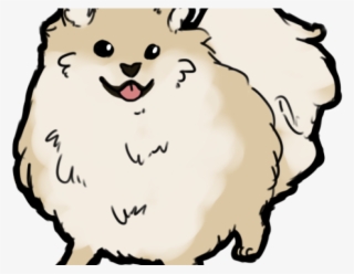 Pomeranian #5615577
