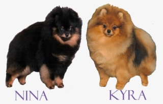 Menu - Best Party #5615761