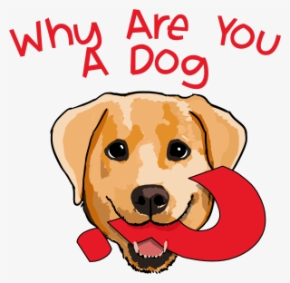 Why Are You A Dog #5616007 Why Are You A Dog #5616007