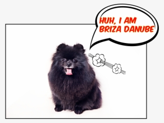 Briza Danube - Blank Comic Books For Kids: Make Your Own Comic Books #5616315 Briza Danube - Blank Comic Books For Kids: Make Your Own Comic Books #5616315