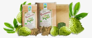 Hojas Guanabana Ecologicas De Canarias #5621304