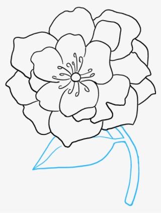 Clip Art How To Draw Peony - Drawing #5621421
