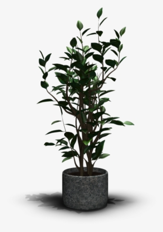 House Plant - Houseplant Font #5622278