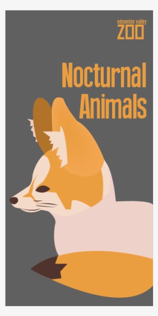 Fennec Fox Banner - Fennec Fox #5622505