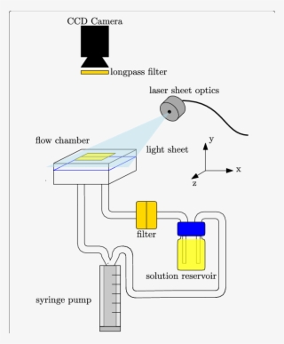 Setup For Single-shot Excitation - Science #5623190