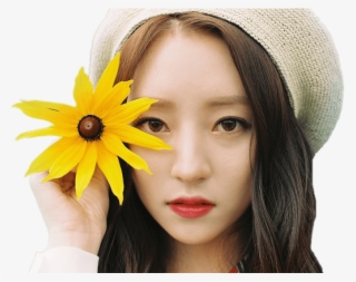 Dreamcatcher Sua Holding Flower - Dreamcatcher Kpop Sua Prequel #5624730