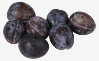 Free Png Plum Png Images Transparent - Damson Fruit Png #5633542
