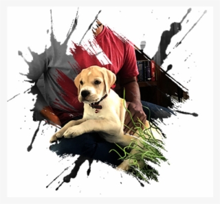 In His New Role As The Chief Welcome Officer, Mario - Nyx Butter Lipstick - Bls11 Licorice #5634834