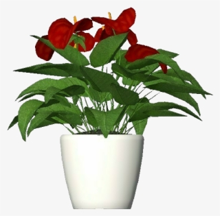 3d Flowers - Anthurium - Flowerpot #5635822