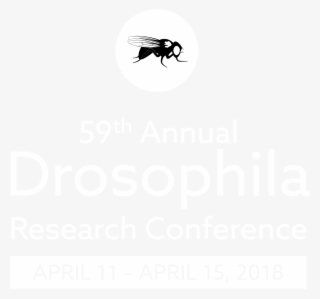 Original Graphic, Right - Matheus Yurley #5637597