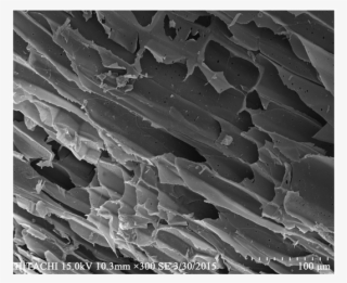 Sem Images Nkcf And (b) Qkcf - Monochrome #5637672