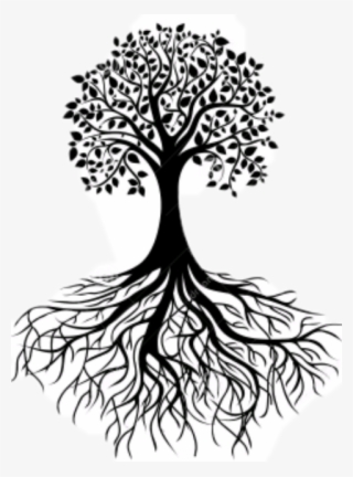 Tree With Roots Silhouette #5639680