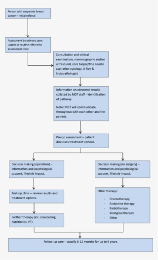 Care Pathway - Care Pathway For Breast Cancer #5640303