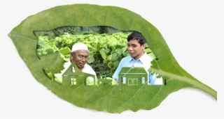 Watch Our Working In Partnership Video - Sustainable Tobacco Programme #5643982