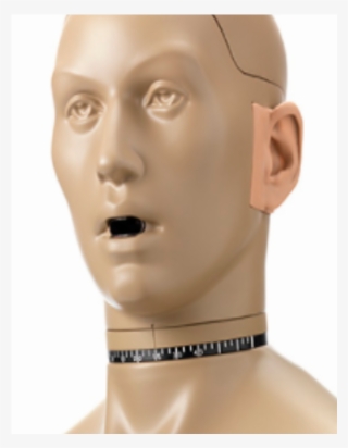 Mannequin Head Png #5644169