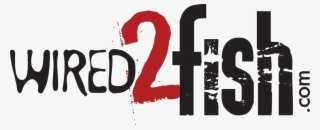 Wired To Fish Brainerd Lakes Area Fishing Guides Bait - Wired 2 Fish Logo #5644346