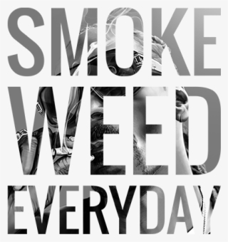 Snoop Dogg Smoke Weed Text - Pottery Barn Sleep In Pillow #5644971