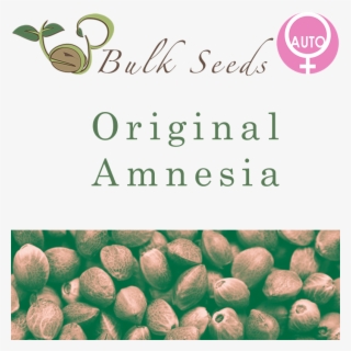 Autofiorenti - 100 Cannabis Seeds #5645196