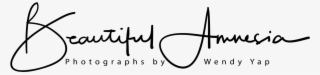 Calligraphy #5645624