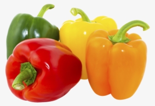 Bell Pepper #5646502