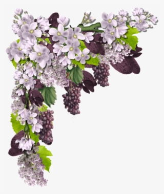 Bordures,tubes Coins,corners - Clip Art #5647578