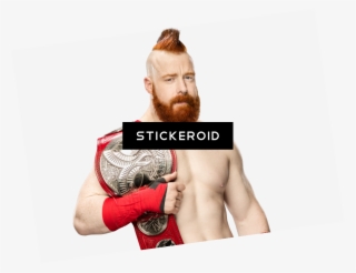 Sheamus Wwe - Professional Boxing #5648595
