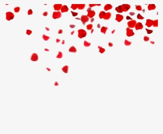 Falling Rose Petals Png Clipart #5651661 Falling Rose Petals Png Clipart #5651661