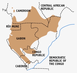 Western Lowland Gorillas Found #5651883