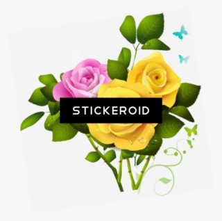 Yellow Rose Flowers #5651954