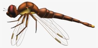 Dragonfly Brown Png Clip Art - Dragonfly Clipart Png #5652670
