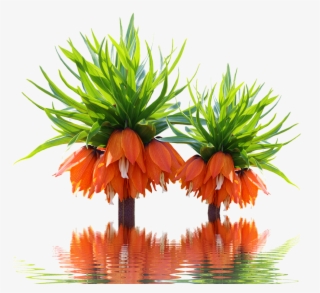 Photography #5653283