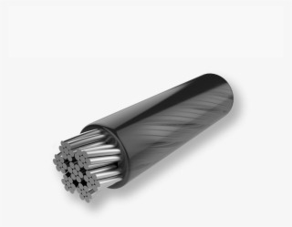 Boa System Laces Illustration - Fluorescent Lamp #5653985