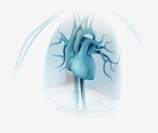 Back To Top - Illustration #5655332