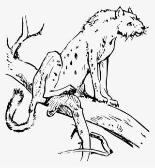 Chester Cheetah Drawing Canidae Cheetos - Cheetah #5662562