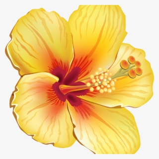 Educations Thanksgiving Hibiscus Coloring Pages 7 Blue - Yellow Hibiscus Shower Curtain #5663519