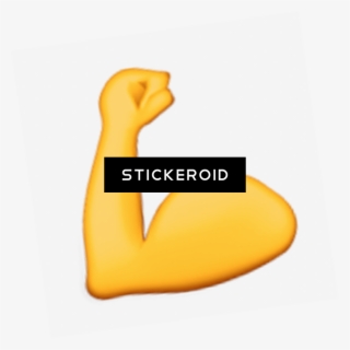 Bicep Muscle #5663612