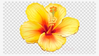 Tropical Flower Png Clipart Clip Art - Yellow Hibiscus Shower Curtain #5663613