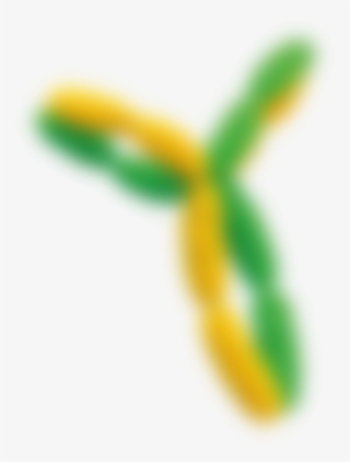 Respiratory - Insect #5663932