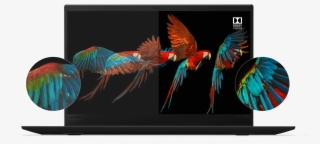 Dazzle Yourself & Others - X1 Carbon 6 Display #5666916