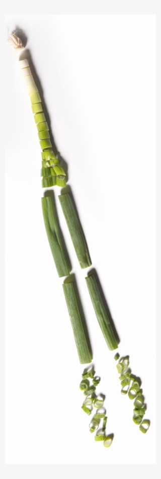 Green Onion Pictures - Bamboo #5668538