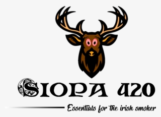 Rolling Paper #5668601