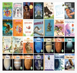 The Hudson Public Library Has 32 New Children's Books - Princeless Volume 3 By Jeremy Whitley #5669578