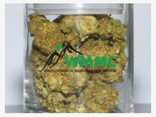 0 - Pornhub And Weed #5670351