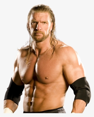 Wwe Triple H The King Of King - Night Of Champions [book] #5674051