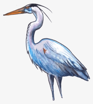 The Fish Eaters - Fish #5674234 The Fish Eaters - Fish #5674234