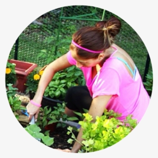 Angie Rose - Botanical Garden #5674968