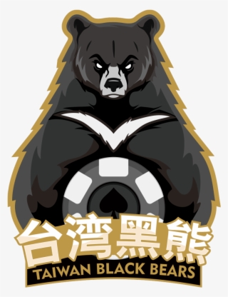 American Black Bear #5675322