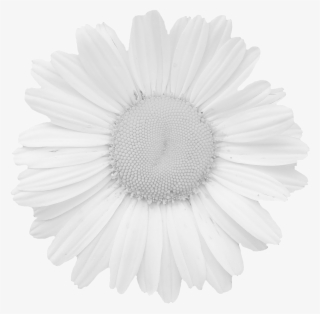 Tear-out Coloring Greeting Cards For Adults #5675868